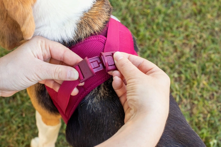 Ergonomic cut gentle on the neck