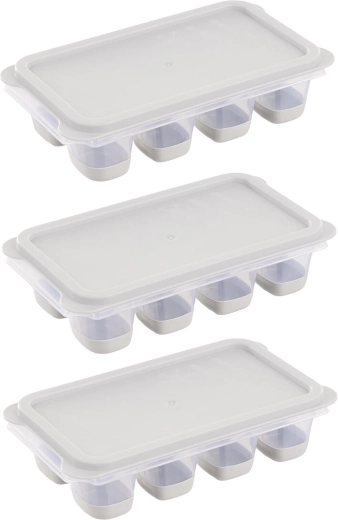 Ice and Herb Tray with Lid