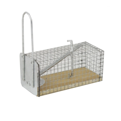 Eluspüünis hiirtele ja rottidele 11 × 5,5 × 5,5 cm