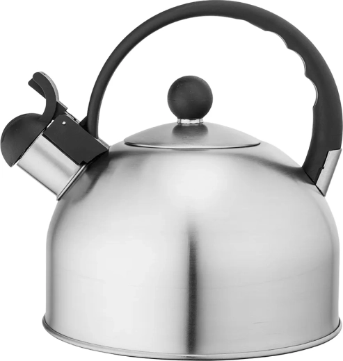 Roostevabast terasest veekeetja Daily satin 2,5 l