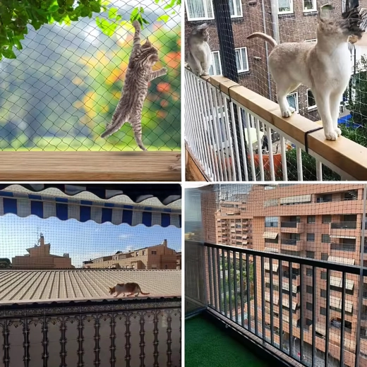 Rõdu kaitse ja turvalisus kassidele