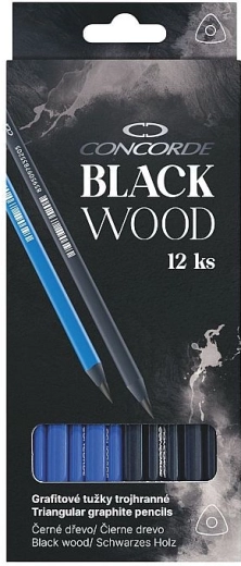 Grafiitpliiatsid CONCORDE Black Wood HB, kolmnurksed, 12 tk