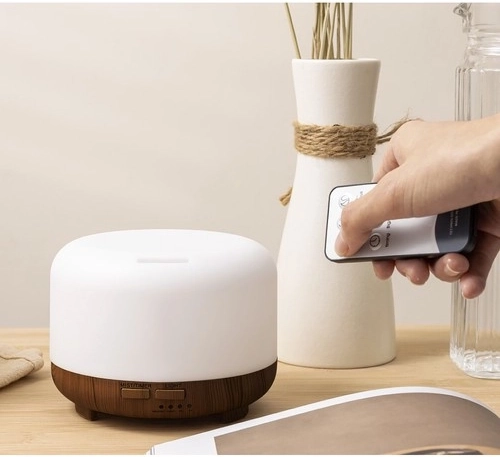 Remote control and practical timer