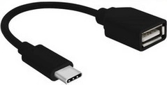 USB-C (isane) → USB-A (emane) USB 2.0 adapter