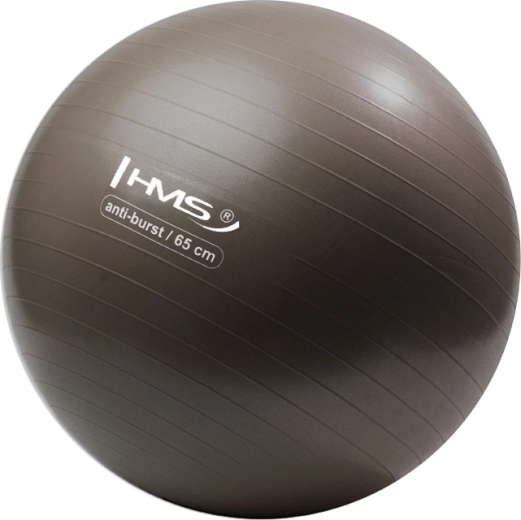 Võimlemispall HMS 65 cm pronks