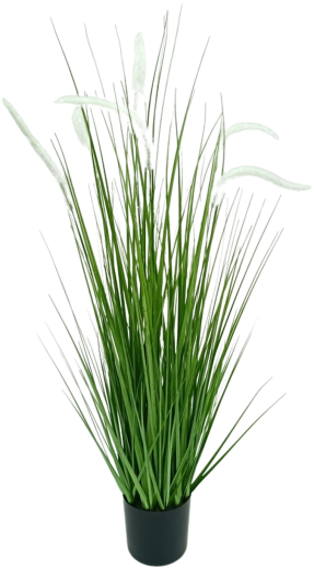 Valge kunstmuru Pennisetum potis, 90 cm