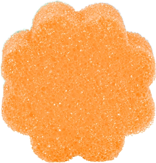 Super Scrubby nõudepesukäsn 10 × 10 × 4 cm