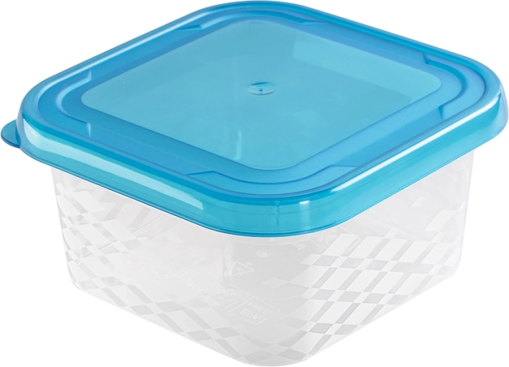 Ruudukujuline toidukarp Blue Box 0,45 l