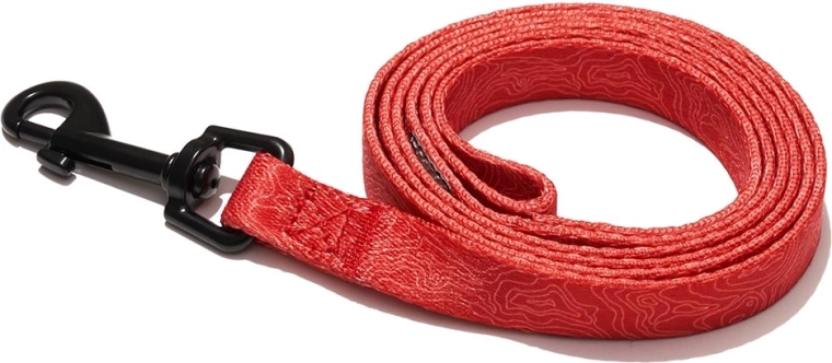 Explorer Dog topograafilise mustriga koerarihm punane S 120 × 1,5 cm