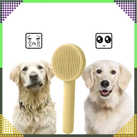 Koertele ja kassidele, lühikesele ja pikale karvale