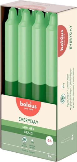 Lõhnaküünlad Summer Grass, 8 tk