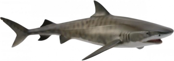 CollectA tiigerhai