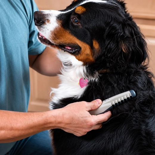 Comfortable coat brushing