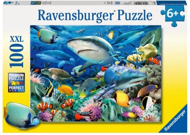 Ravensburgeri pusle Haide karis
