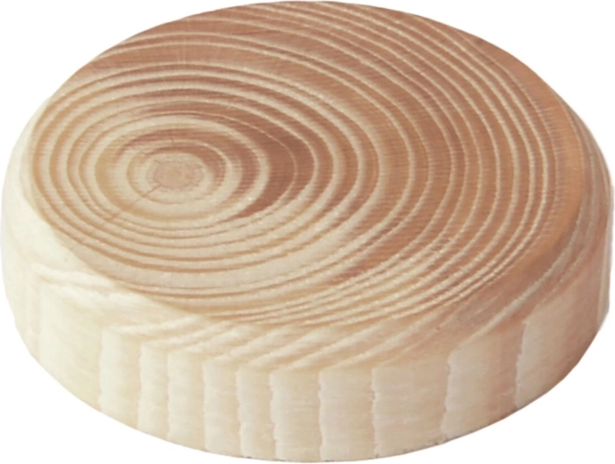 Puidust oksatüüblid 40 × 7 mm, 8 tk