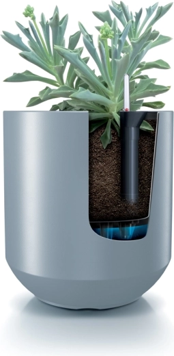 Smart water management for healthy roots