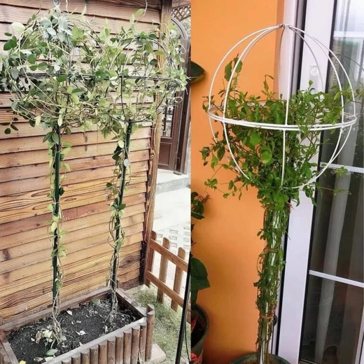 Metal support for climbing plants and roses 50 × 10 cm – white