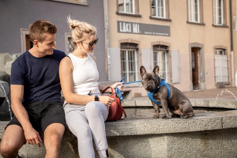 Practical accessories for walks