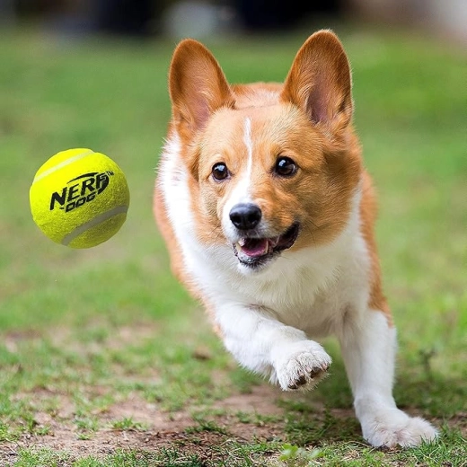Kolm piiksuvat tennisepalli komplektis