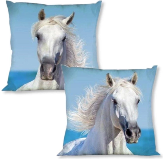 Best Friends Pillowcase 40 × 40 cm