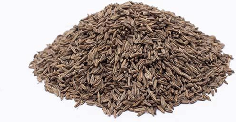 Terve köömned 50 g – tšehhi
