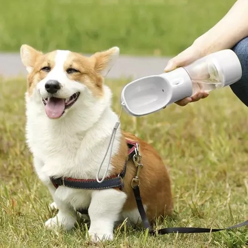 Ideal for trips and walks