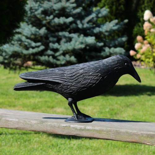 Linnupeletaja – ronkmust 36 × 13 × 18 cm