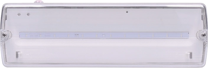 Solight LED avariivalgusti 4 W 200 lm IP65 automaattestiga