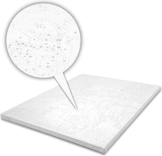 Pre-printed numbered canvas for easy guidance