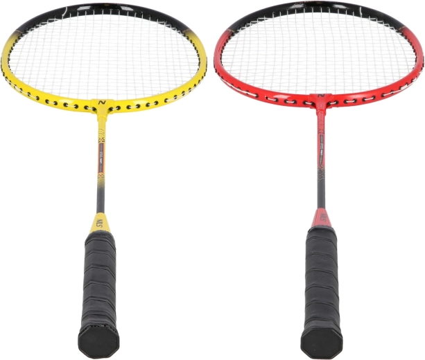 Complete set with net and telescopic posts