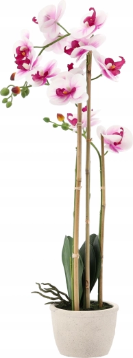 Ideaalne kõrgus 70 cm