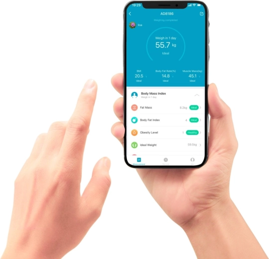 Connection to the Tuya Smart app