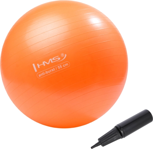 Võimlemispall HMS 55 cm oranž