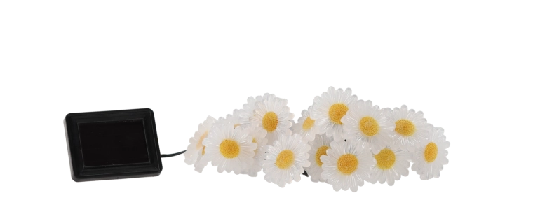 Võluv lilleline atmosfäär