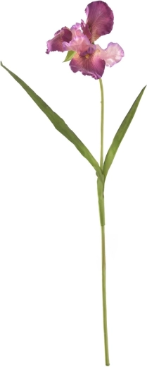 Kunstiiris tumelilla 95 cm