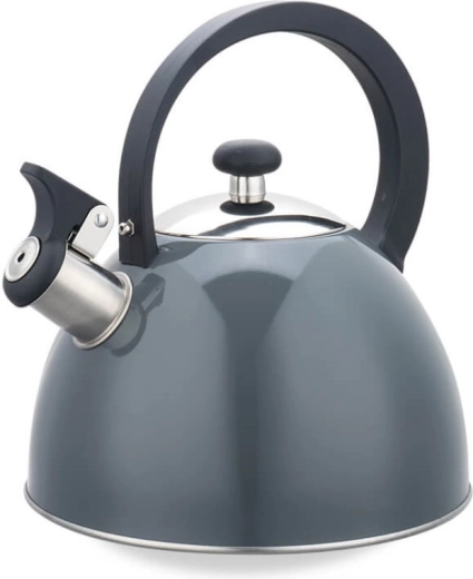 Vilesusega roostevabast terasest pliidikann 2,5 l Maestro MR-1302, hall