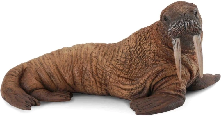 Collecta jäämorsa kujuke