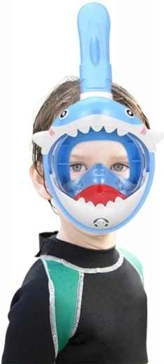 Safer snorkeling with DryTop