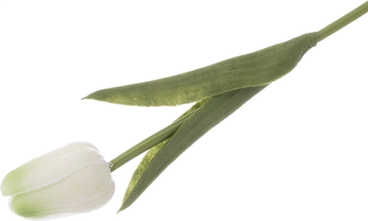 Plastist tulp (UH) valge/kollane 33 cm