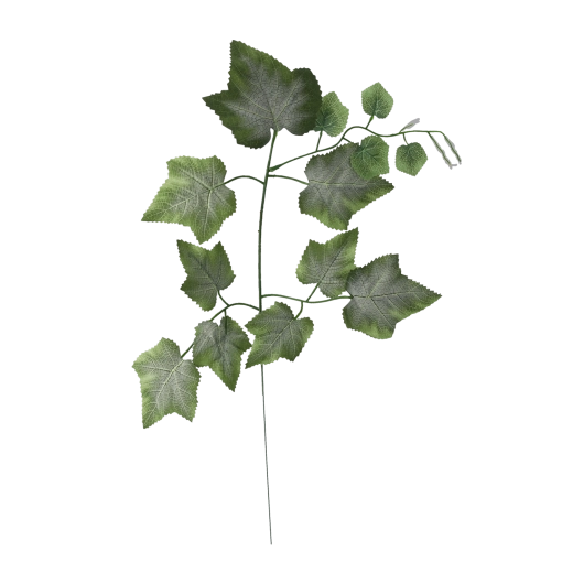 Grape Leaf