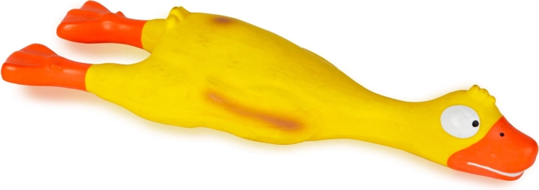 Paindlik lateksmaterjal