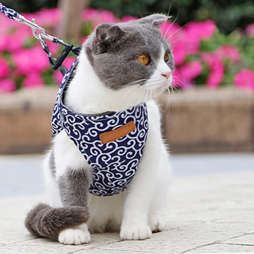Comfortable Harness for Cats and Dogs – Blue S