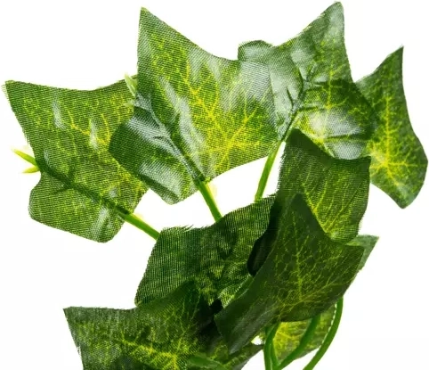 Realistic green decoration with no maintenance