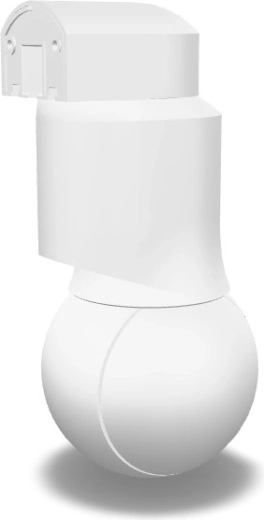 10× hübriidsuum