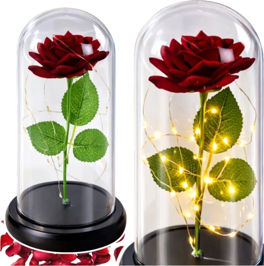 Romantic rose under a protective dome