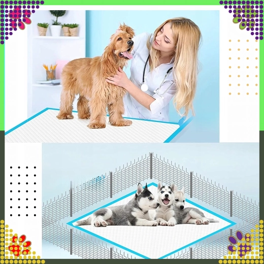 Puhtus kodus ja teel