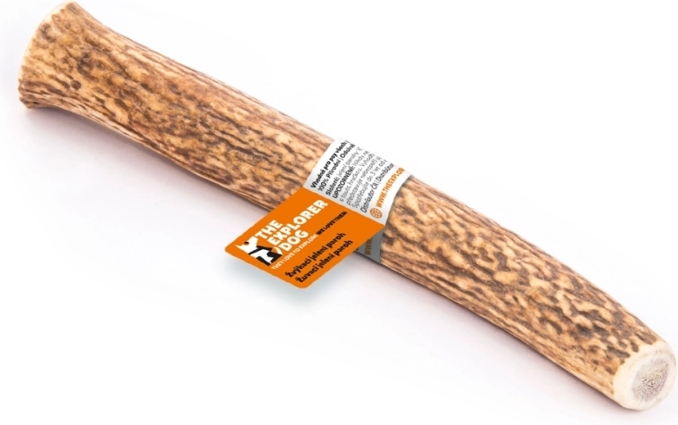 Explorer Dog hirve sarv XXL – kõva