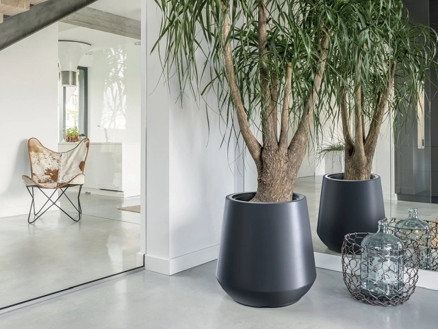 Modern design for indoors and outdoors