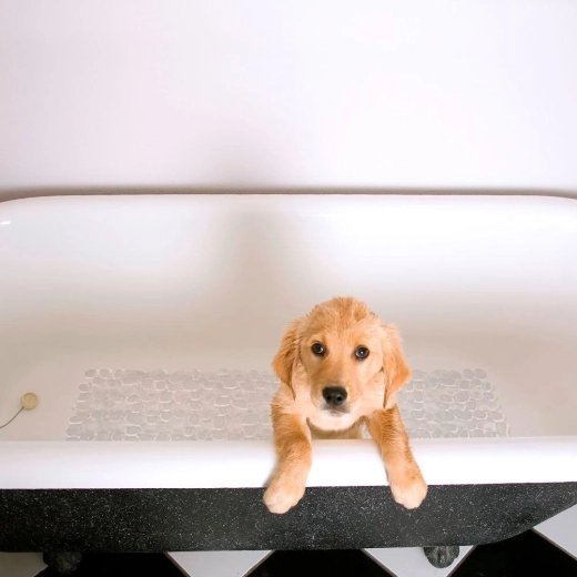 Mugavus ja jalalaba kaitse