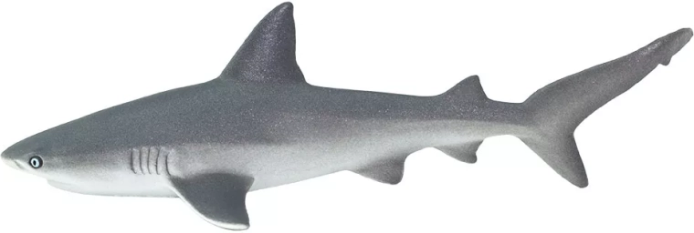 Safari Ltd. sebrahai (rifihai) - 1 tk